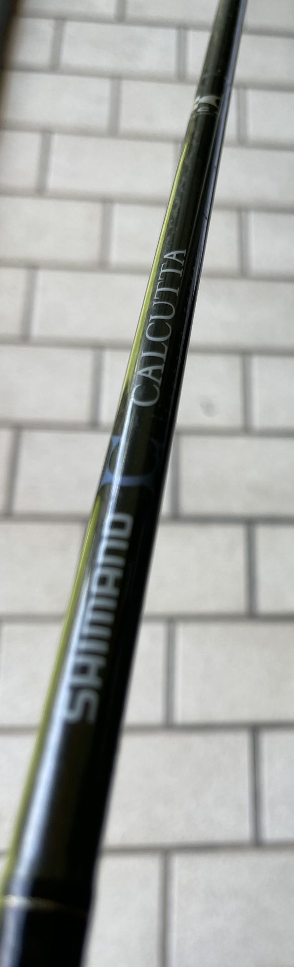 Shimano Calcutta Inshore Spinning Rod