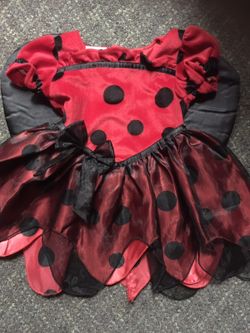 Ladybug 🐞 Costume Size 12months