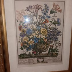 Months Of Flowers Month Of OCTOBER 