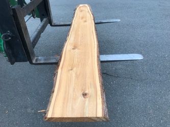 Live Edge Cedar Slab