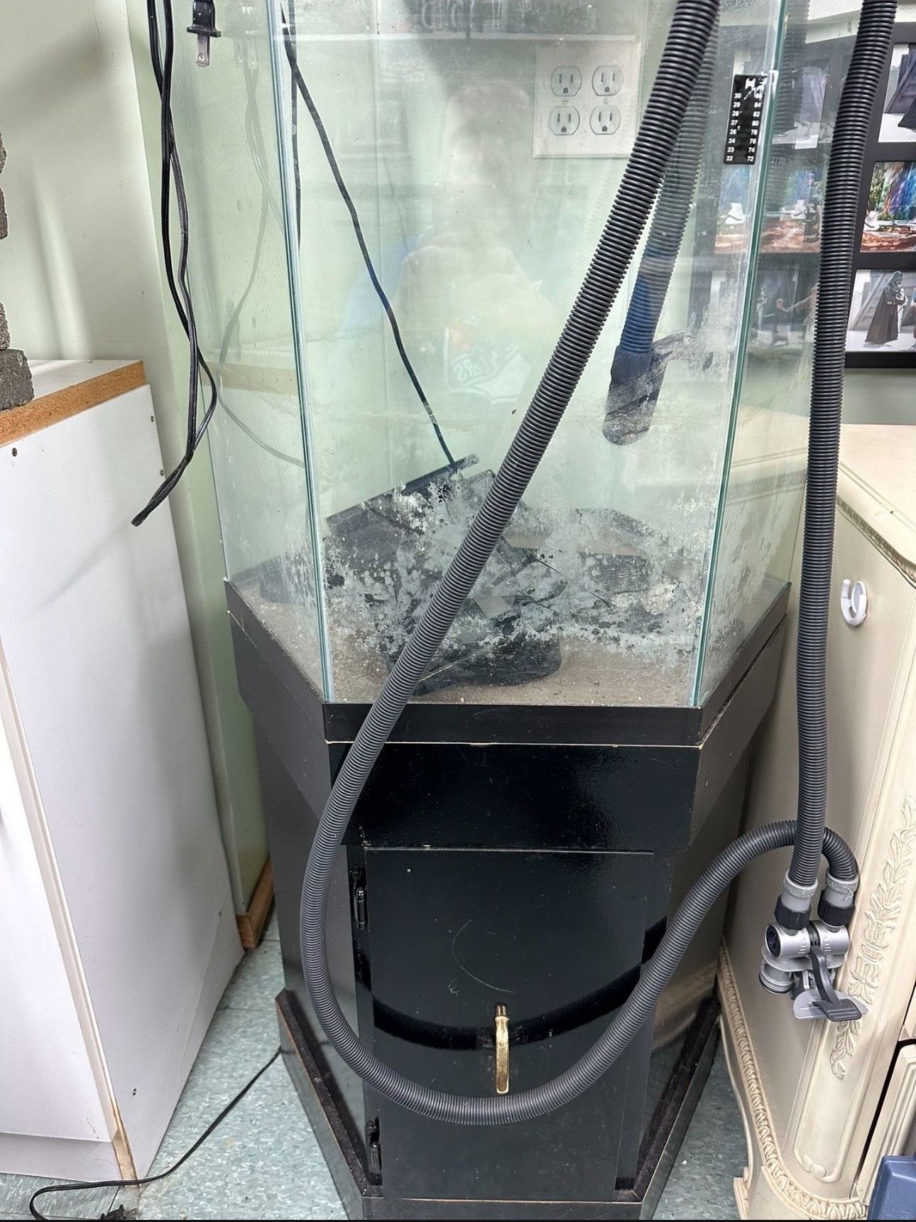 40 Gallon Hex Tank And Stand