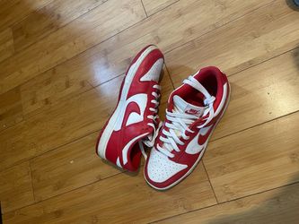 Red Nike Dunks (size 9.5)