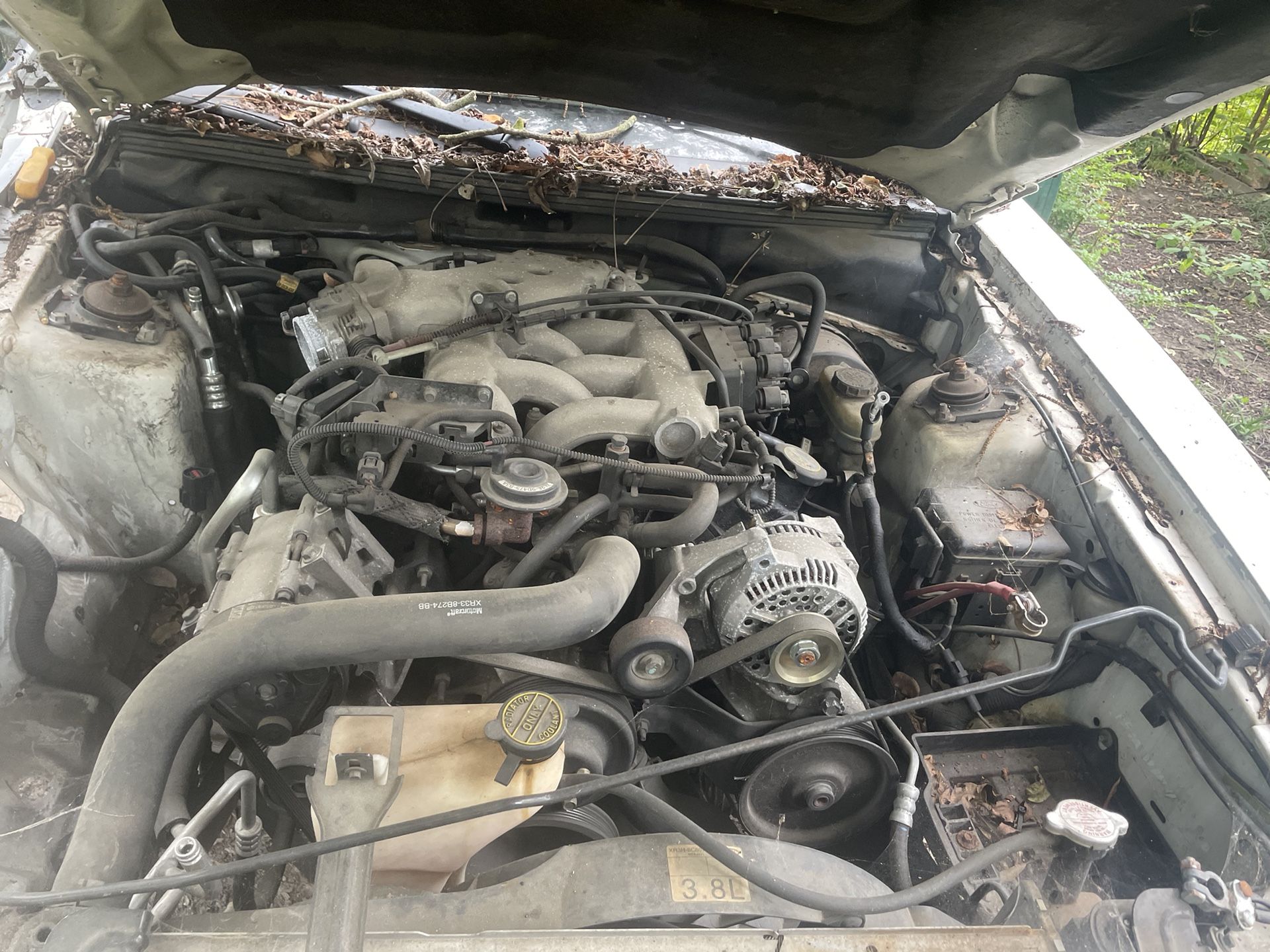 3.8 l V6 Motor And Trans