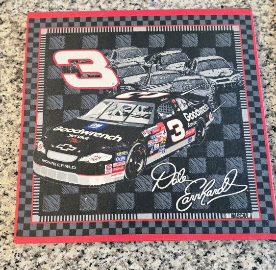 Dale Earnhardt & Dale Jr. NASCAR Collector Frames(Set of 2) – Vintage Racing Decor