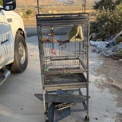Bird Cage