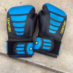 Boxing Gloves 