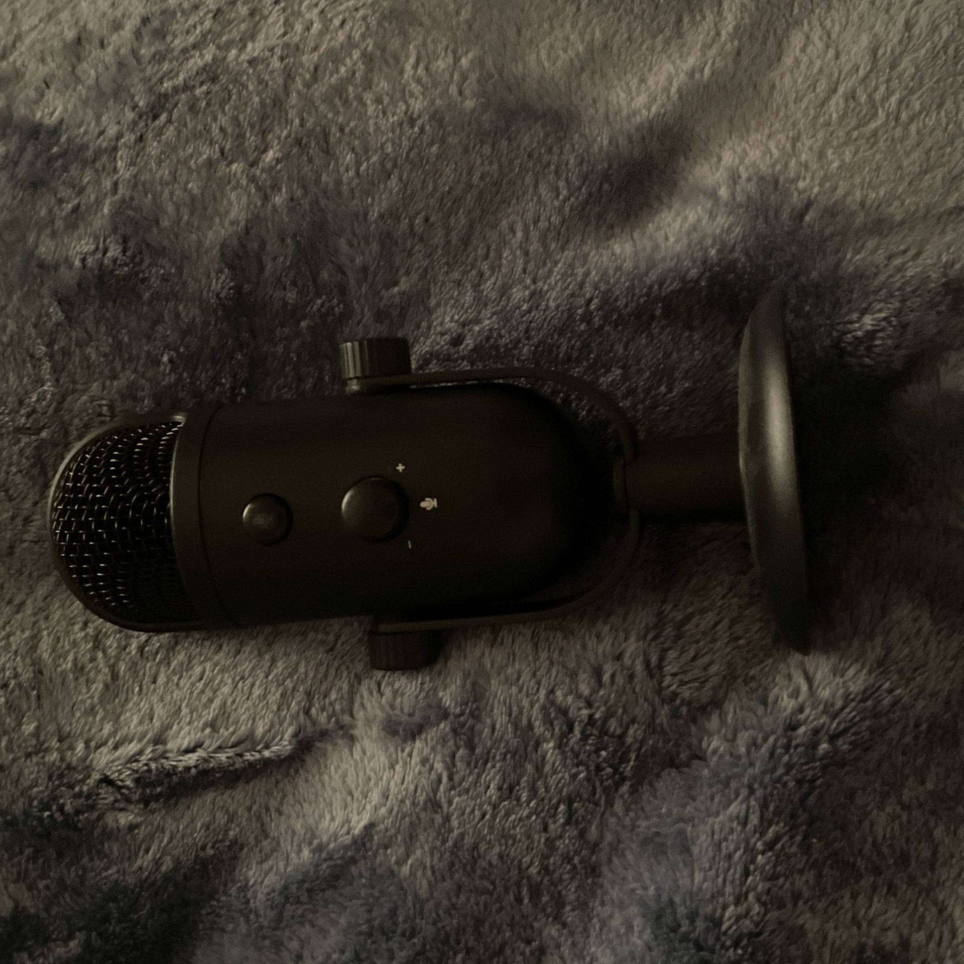 Microphone