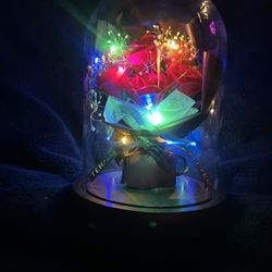 Preserved Rose Decoration With Creative LED String Lights, For Valentines day Bday Etc. 