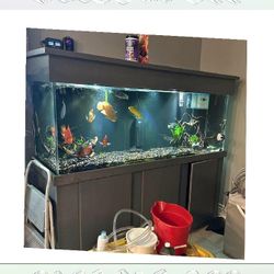 bill office Top-Grade Aquarium Setup - Premium Quality Standard