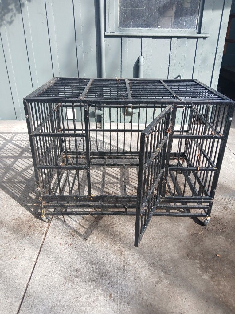 Large Dog Kennel
