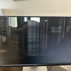 Free Dell Monitor 