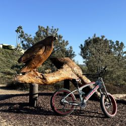 Soul Cuda E-bike $2800 OBO Electric 