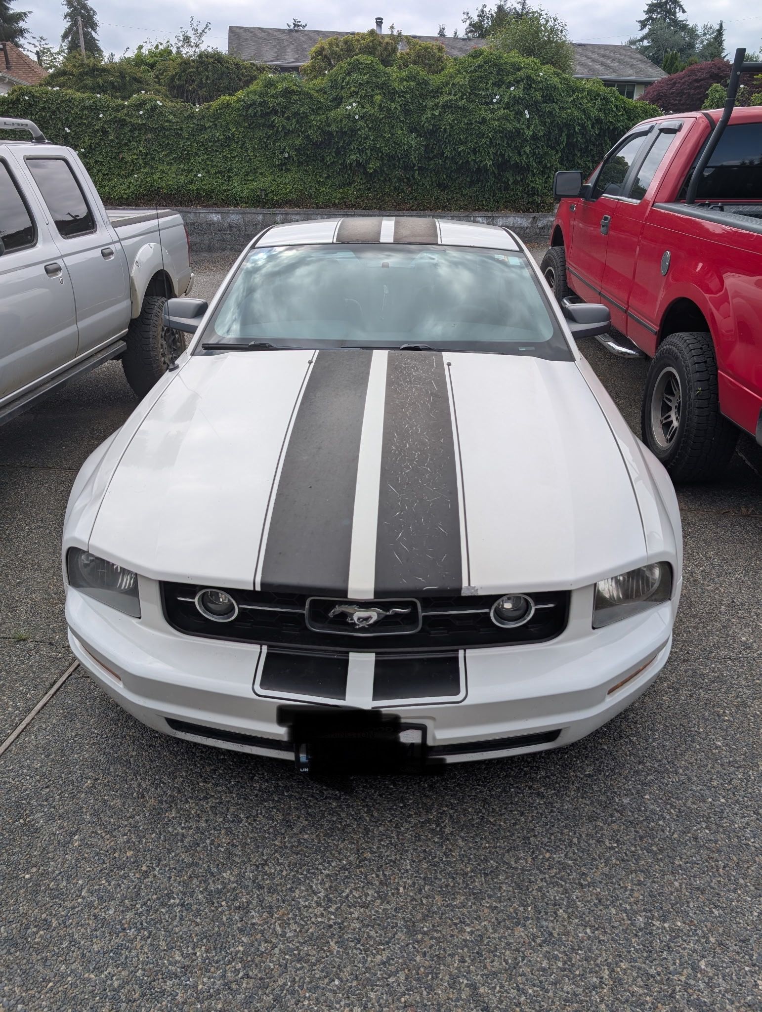 2007 Ford Mustang