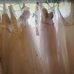 Wedding Dresses Àll Sizes