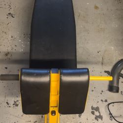 Soozier Adjustable Hyper Extension Dumbbell Weight Bench