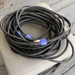 2 25” Speaker Cables 