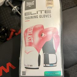 Elite Training gloves Everlast 12 Oz Pink