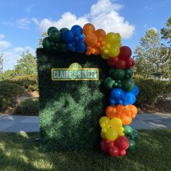 Sesame Street Balloons