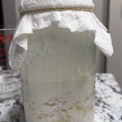Búlgaros De Leche 