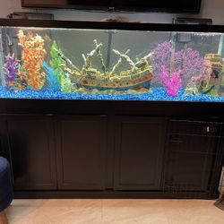150 Gallon Fish Tank With Stand