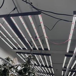 Gavita 1700 E LED 100% Working 