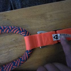 Dog Harness 