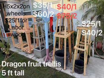 Three Model Of The Dragon Fruit Trellis & More