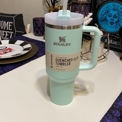 stanley 40oz mint green tumbler