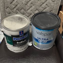 Primer &ceiling Paint