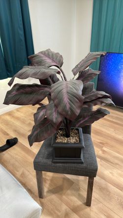 Artificial plant