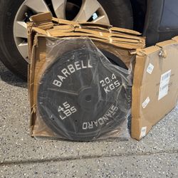 45lb Plates X4