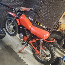 1975 Elsinore Mr 50