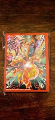 Charizard Penny Sleeve(65 count)
