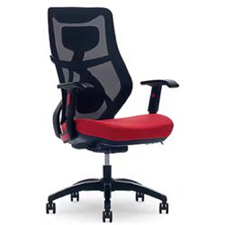 Beautyrest Duo EX Ergonomic Mesh Swivel Computer Chair Red 60051 RED