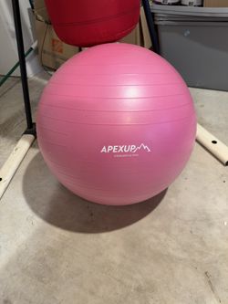 Work Out Yoga Ball