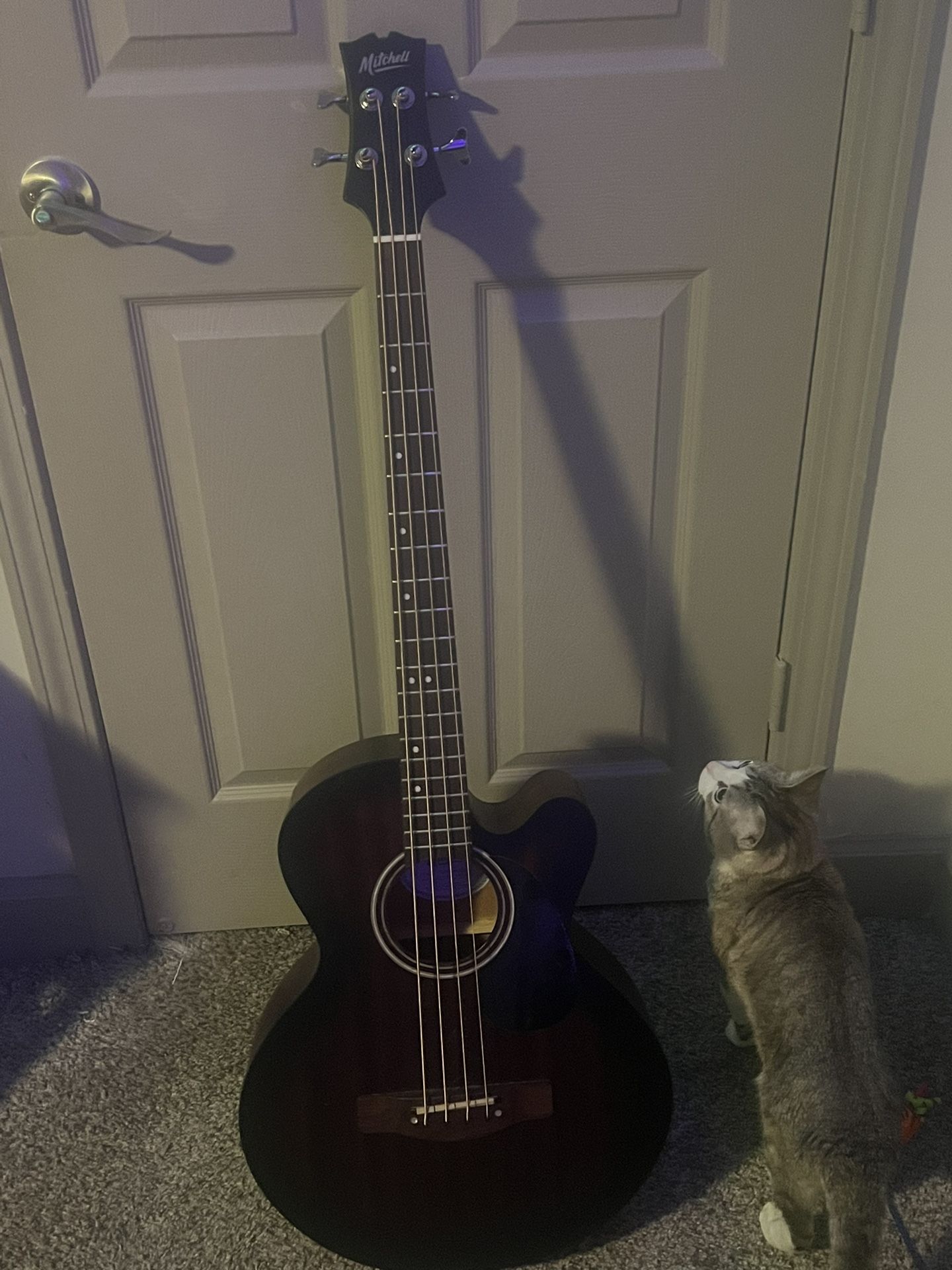 Mitchell Acoustic Bass Guitar
