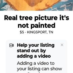 Picture On  Real Tree