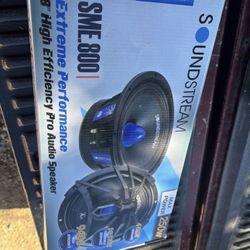 Bosinas 8 Pulgadas Sounstream 