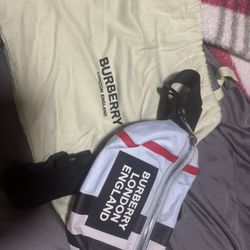 Burberry Belt bag 
