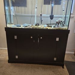 60 GALLON Aquarium With Custom Buillt Stand. 