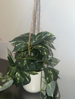 Faux Plant Decor