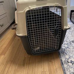 XXL Dog Crate Airline Approved