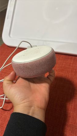 Alexa echo pink
