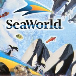 🎢 SEAWORLD 🎟️x11 🦭SEAWORLD 🪸🦦SAN DIEGO 🪼