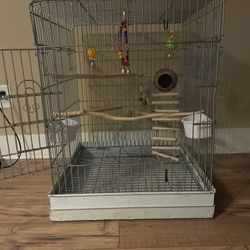 Bird Cage