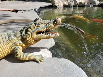 Pond Alligator Spitter