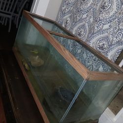 Fish Tank