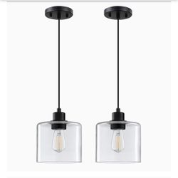 Doraimy 2 Count Adjustable Height Hanging Ceiling Pendant Lights Black Finish
