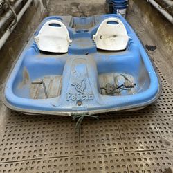 2 Person Paddle Boat