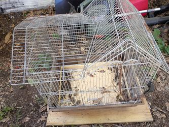 A Large Bird Cage